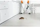Powerful Industrial Pest Control Company in Jaipur Experts