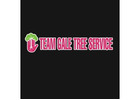 Team Gale Tree Service