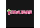 Team Gale Tree Service
