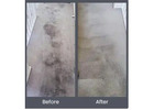Need Professional Carpet Cleaning in Adelaide? We’ve Got You Covered
