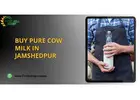Buy Pure Cow Milk in Jamshedpur | First Bell Agro