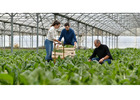 Find Best Nursery Business Software & Greenhouse ERP Here