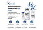 Recombinant Protein Supplier in India | EC BioLabs