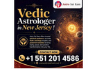 Vedic Astrologer in New Jersey