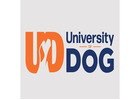 University of Dog