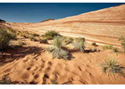 BLM Lands Near Phoenix AZ – Discover Free Camping & Adventure