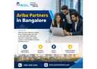 Ariba Partners in India services