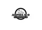 Alpha K-9 Dog Training