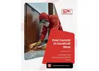 Say Goodbye to Pests with Expert Pest Control in Kandivali West