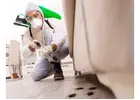 Pest Control De Winton
