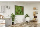 Plantas Liofilizadas