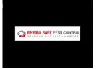Bird mite removal Melbourne