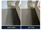 Say Goodbye to Stains with Dry Carpet Clean in Adelaide