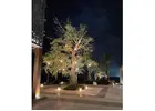 outdoor lighting installation Miami