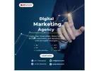 SEO Services in Bangalore | Best SEO Agency in Bangalore – Zinavo