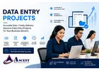 Data entry project provider