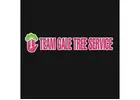 Team Gale Tree Service