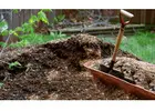 Care for Your Plants with Top Garden Supplies in Adelaide