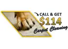 Carpet Cleaning Katy