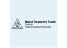 Professional Mold Removal Orlando FL by Rapid Recovery Team Orlando