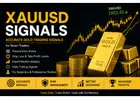 Best XAUUSD Trading Signals Provider for Gold Traders