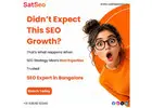 SEO Expert in Bangalore for Higher Google Rankings, Organic Traffic & Quality Leads | Satheesseo