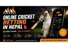 Online Cricket Betting in Nepal – Reliable Information and Easy Access