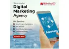Digital Marketing Agency in Bangalore | Zinavo
