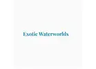 Exotic Waterworlds