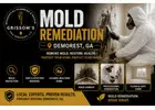 Mold Remediation