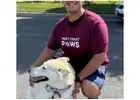 Premium Pet Sitter Long Beach Services | westcoastpaws
