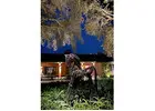 outdoor lighting installation Miami