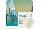 Advanced Wound Healing with Chitosan Dressings | Axiobio.com,