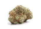 Buy Red Bullz Sativa Strain in Canada