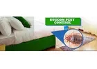 Reliable Home Pest Control Services in Jaipur Expert Care