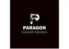 Paragon Livestock Solutions