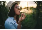 Premium THC Starts with the Right Brand - Honey King