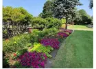 Garden Maintenance Sydney | Northern Beaches Garden & Trees
