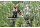 Tree Cutting Bella Vista - Sydney Tree Felling