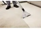 Carpet Cleaning DFW | Serving Fort Worth, Arlington, Flower Mound