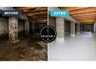 Mold Remediation GA