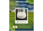 Liquid gypsum