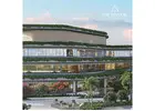 Flats For Sale in Gurgaon | Trillion