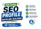 High quality SEO manual link building profile backlinks
