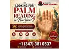 Palm Reading in New York