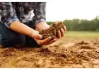 Raise pH in soil