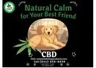 CBD for Dogs – Premium Hemp Wellness Support for Your Pet