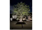 Outdoor Lighting in Miami