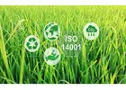 Why Is Environmental Planning Important for Modern Businesses?