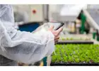 ERP Software for Growers of Any Size | SBI Software